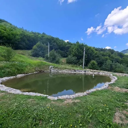 припір Lejlighed Abranka